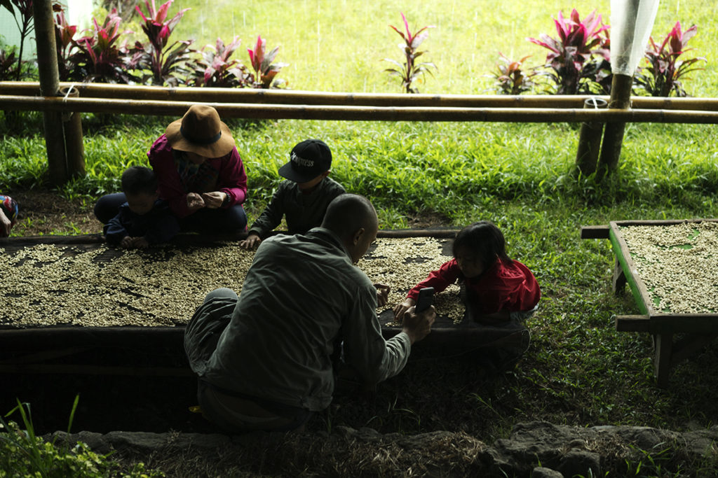 El Union Coffee's Kiddo Cosio sorting coffee cherries with local kids
