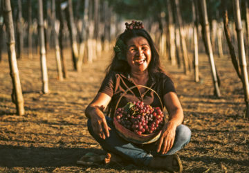 A walk-in farm guest and her basket of fruits