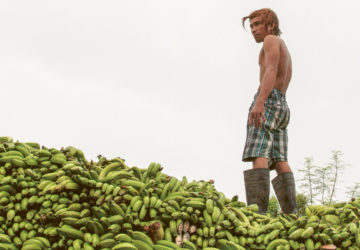 A truckload of bananas