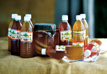 Kombucha may brim with benefits, but its taste can polarize