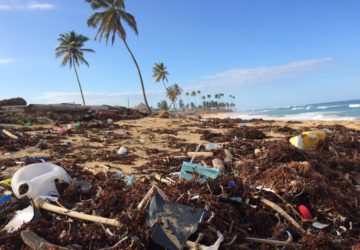 It might be state orders like the Plastic Straw and Stirrer Ban of 2018 that can turn sustainability from restaurant trend to industry mandate