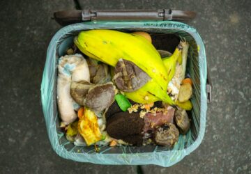 House Bill No. 8873 or the Food Waste Reduction Act will require food manufacturers and establishments to donate food surplus