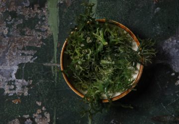 The country has since been noted as one of the countries that pioneered seaweed farming in substantial quantities