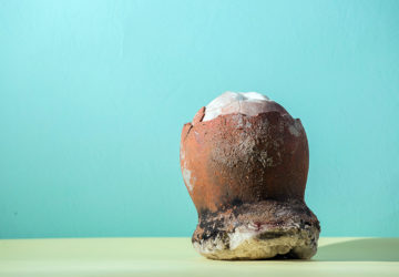 The smoky and bold salt called asin tibuok, which translates to unbroken in Bisaya, originated from Albuquerque, Bohol