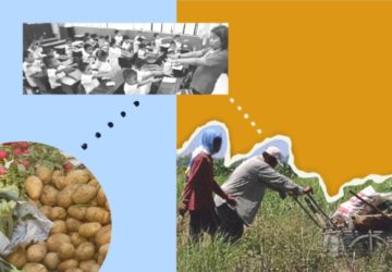agricultural solutions