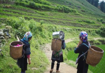women in agriculture