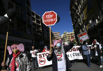 A protester wearing a pig mask holds a sign reading "Stop macrofarms" during a demonstration called by the "Pueblos Vivos Cuenca" association to denounce the permits for new intensive livestock farms and to demand extensive, social and environmental sustainable livestock farming, in Cuenca