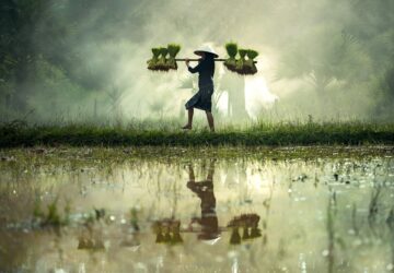 Punishing heat and humidity caused by climate change makes outdoor causes around 677 billion lost working hours a year around the world
