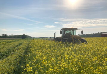 Farmer Dave Gruenbaum plants corn as he terminates off-season cover crops with a roller near Plain City, Ohio, US