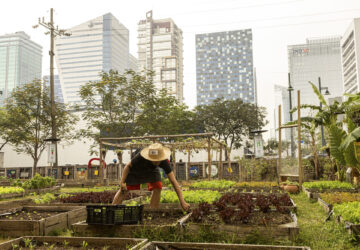 Farming in the city? At Urban Farmers PH in BGC, the nonprofit champions self-sufficiency and connections