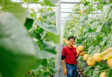 Bukid Amara chief farmer Michael Caballes