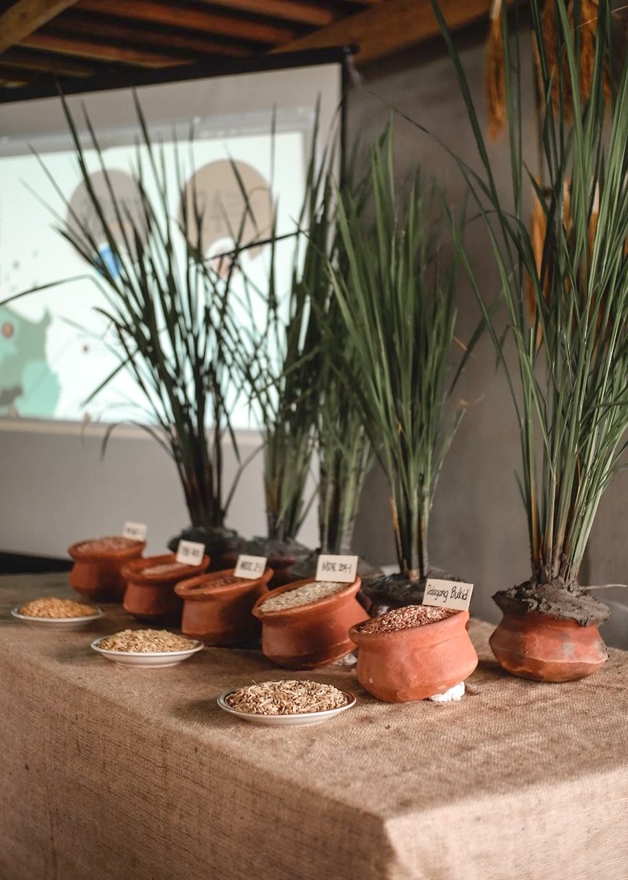Masipag is a farmer-led network dedicated to sustainable agriculture