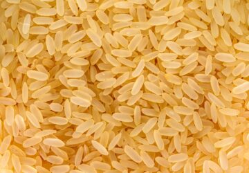 Is the cultivation of traditional rice grains more sustainable and more reliable?